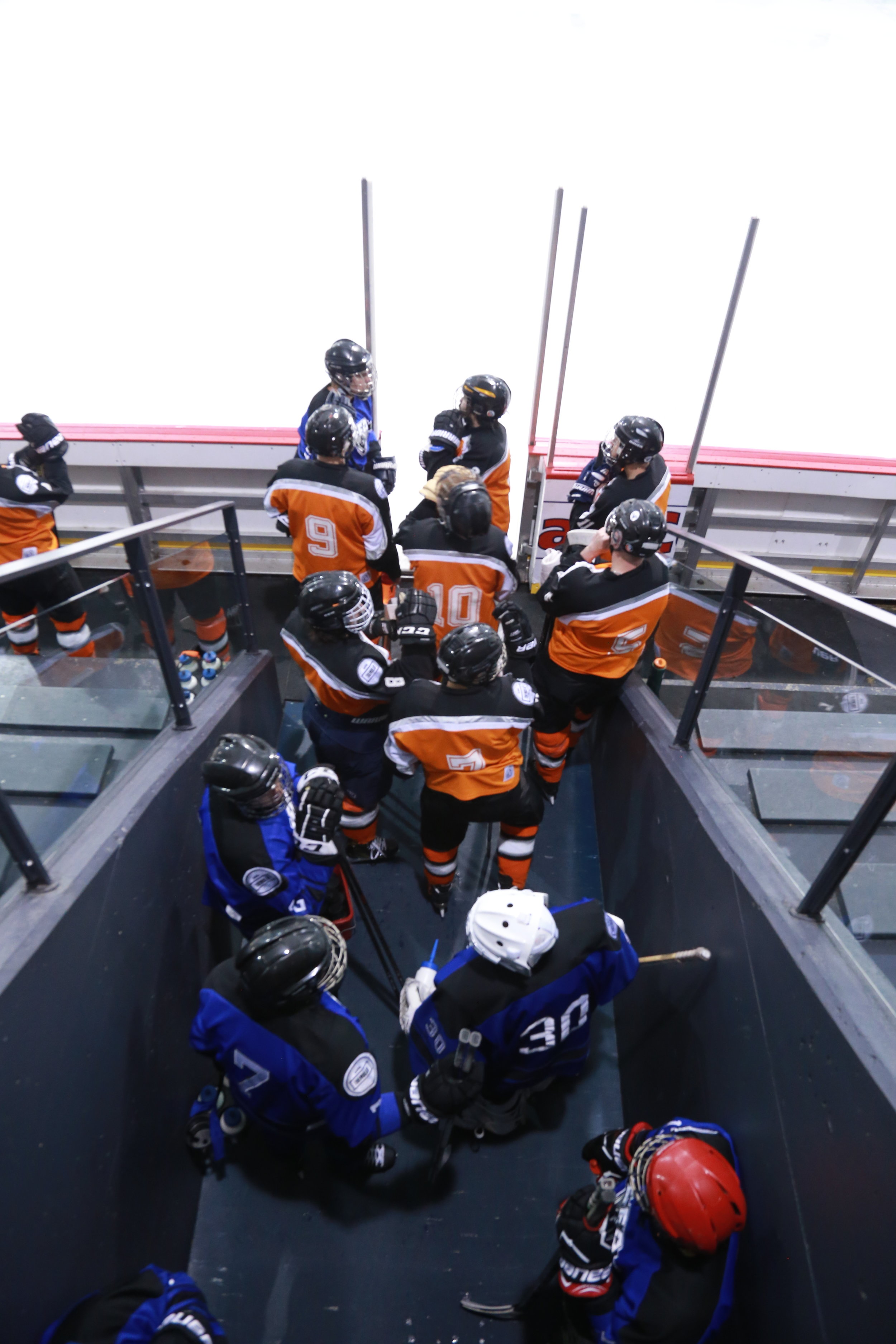 BEAUCOUP DE NOUVEAUX VISAGES DANS LA CABANE