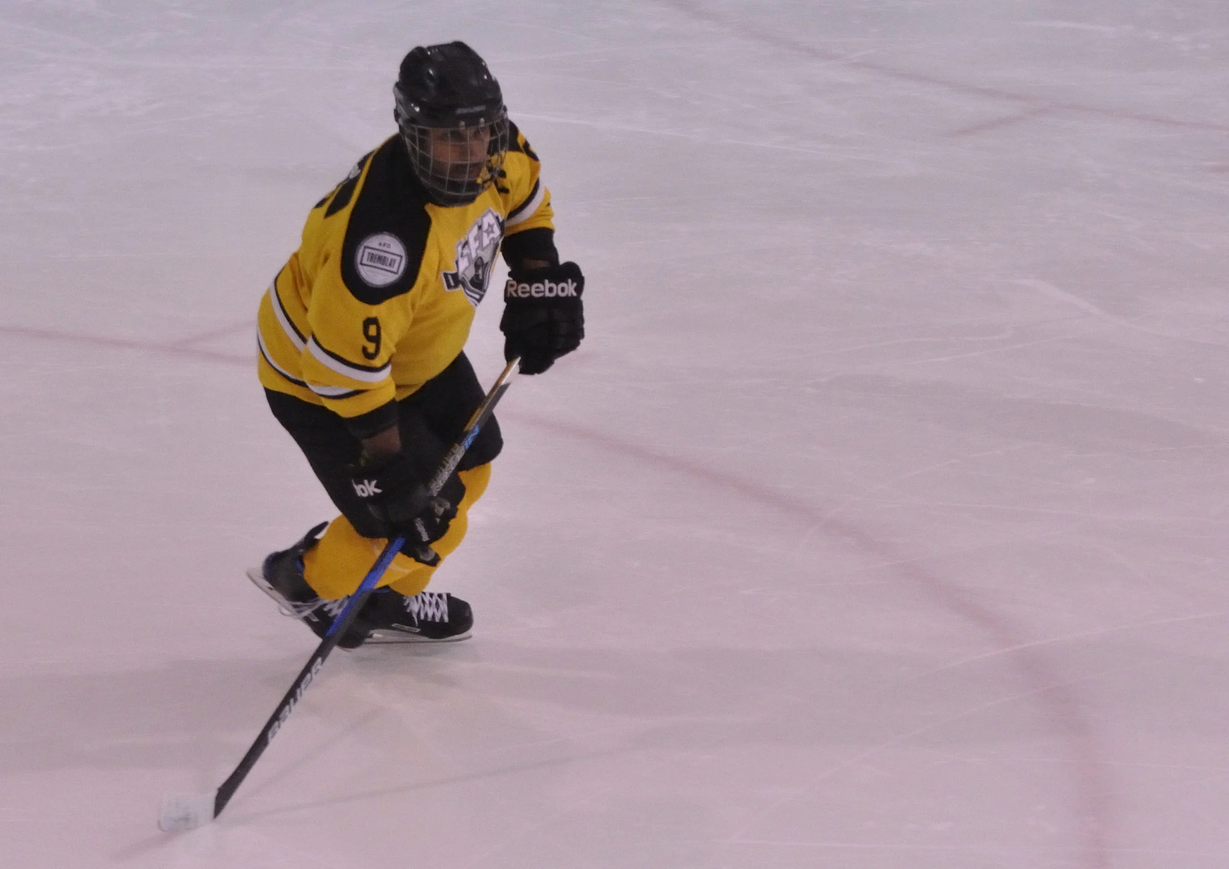 _DSC0218_5348_1498-Lisette Nepveu.JPG