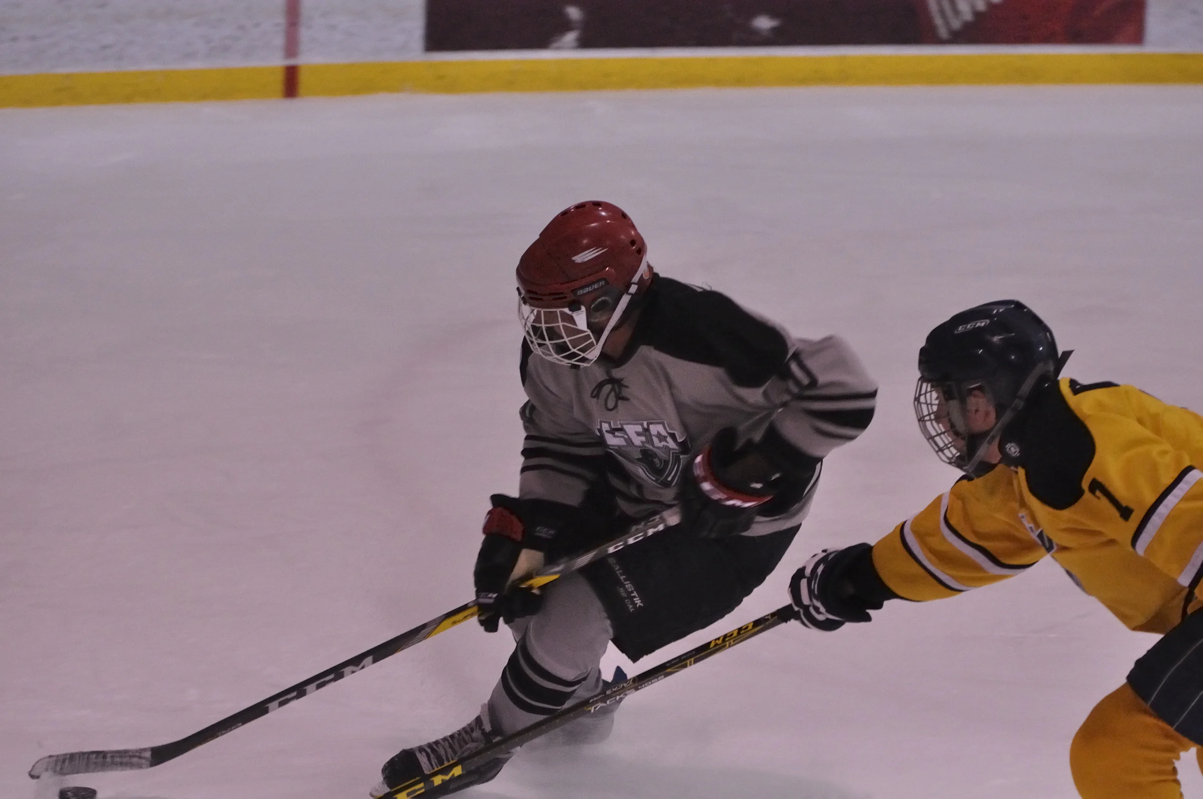 _DSC0334_9814_3709-Lisette Nepveu.JPG