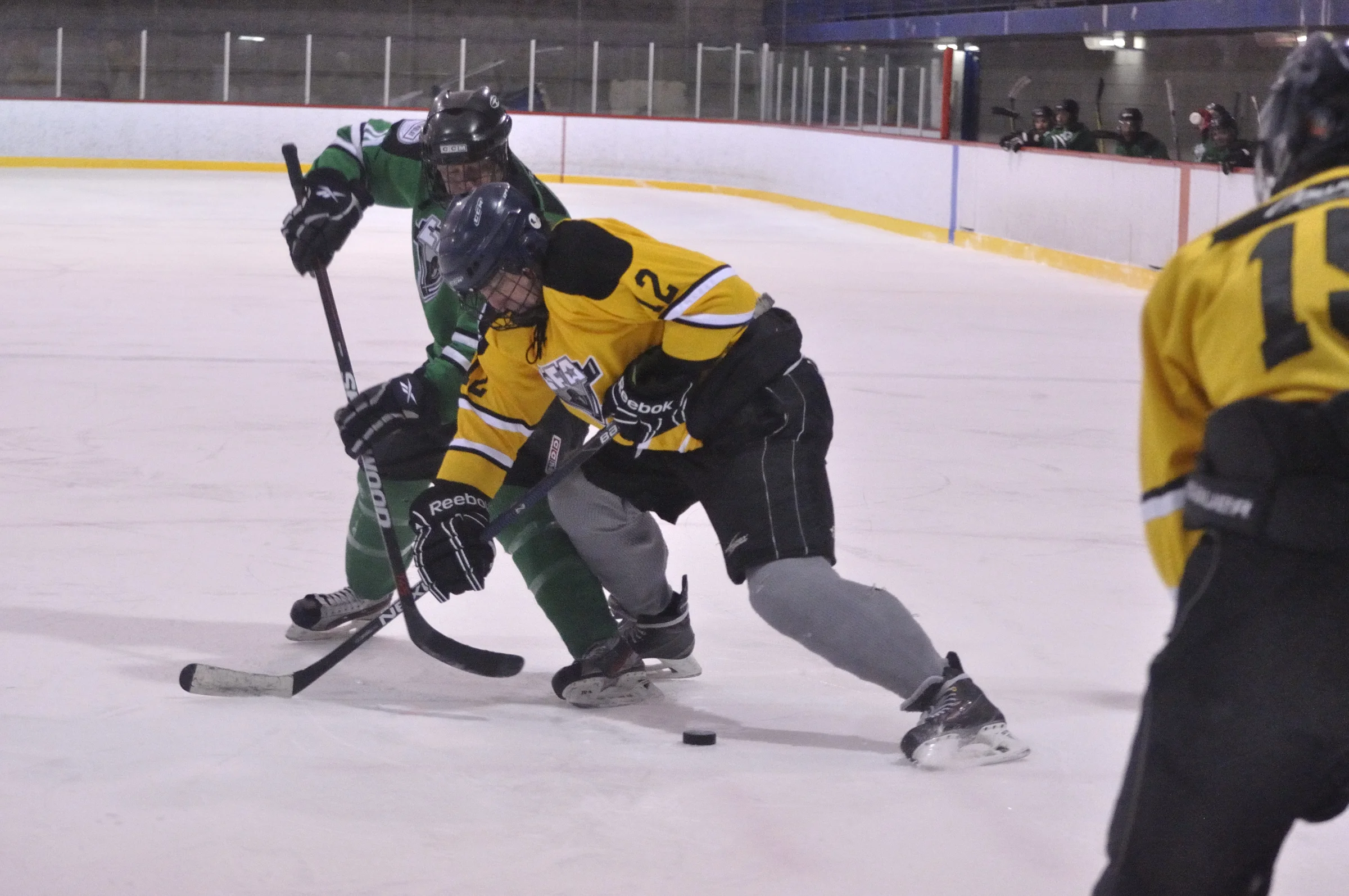 _DSC0363_10610_4010-Lisette Nepveu.JPG