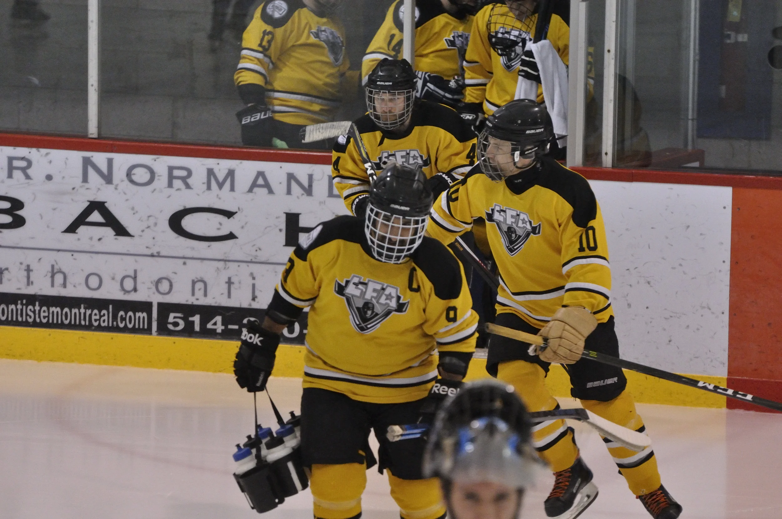 16 fevrier 2018 _DSC0044_Lisette Nepveu.JPG