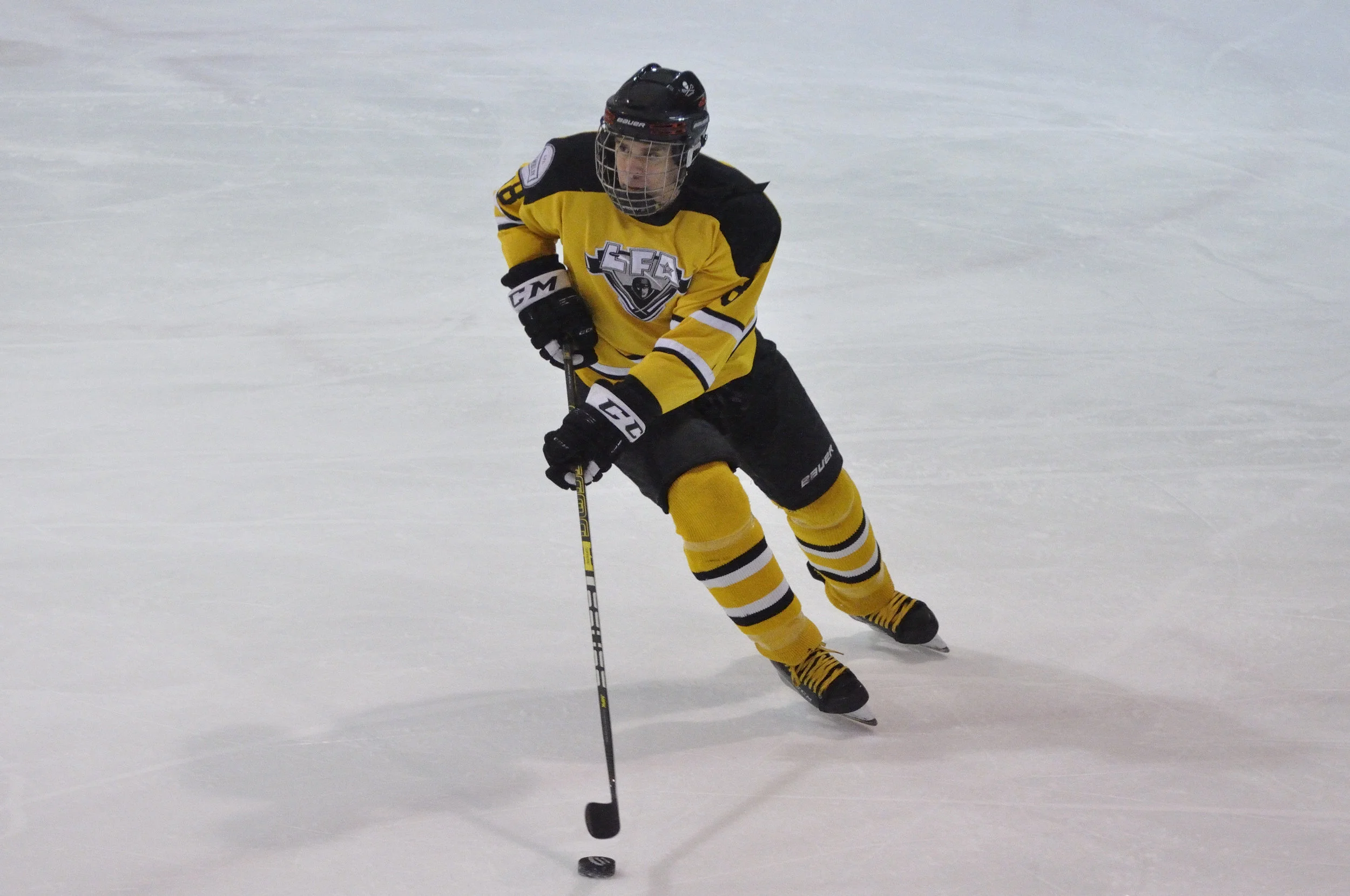 16 fevrier 2018 _DSC0114_Lisette Nepveu.JPG