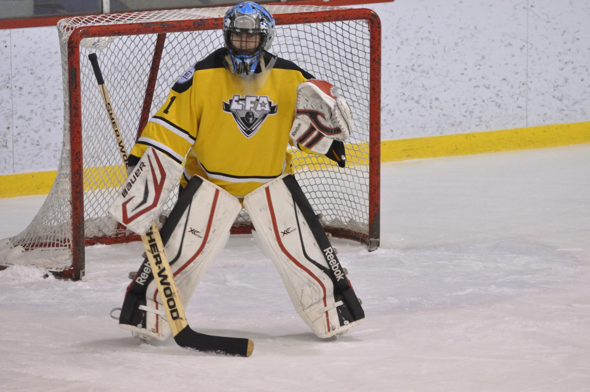 16 fevrier 2018 _DSC0168_Lisette Nepveu.JPG