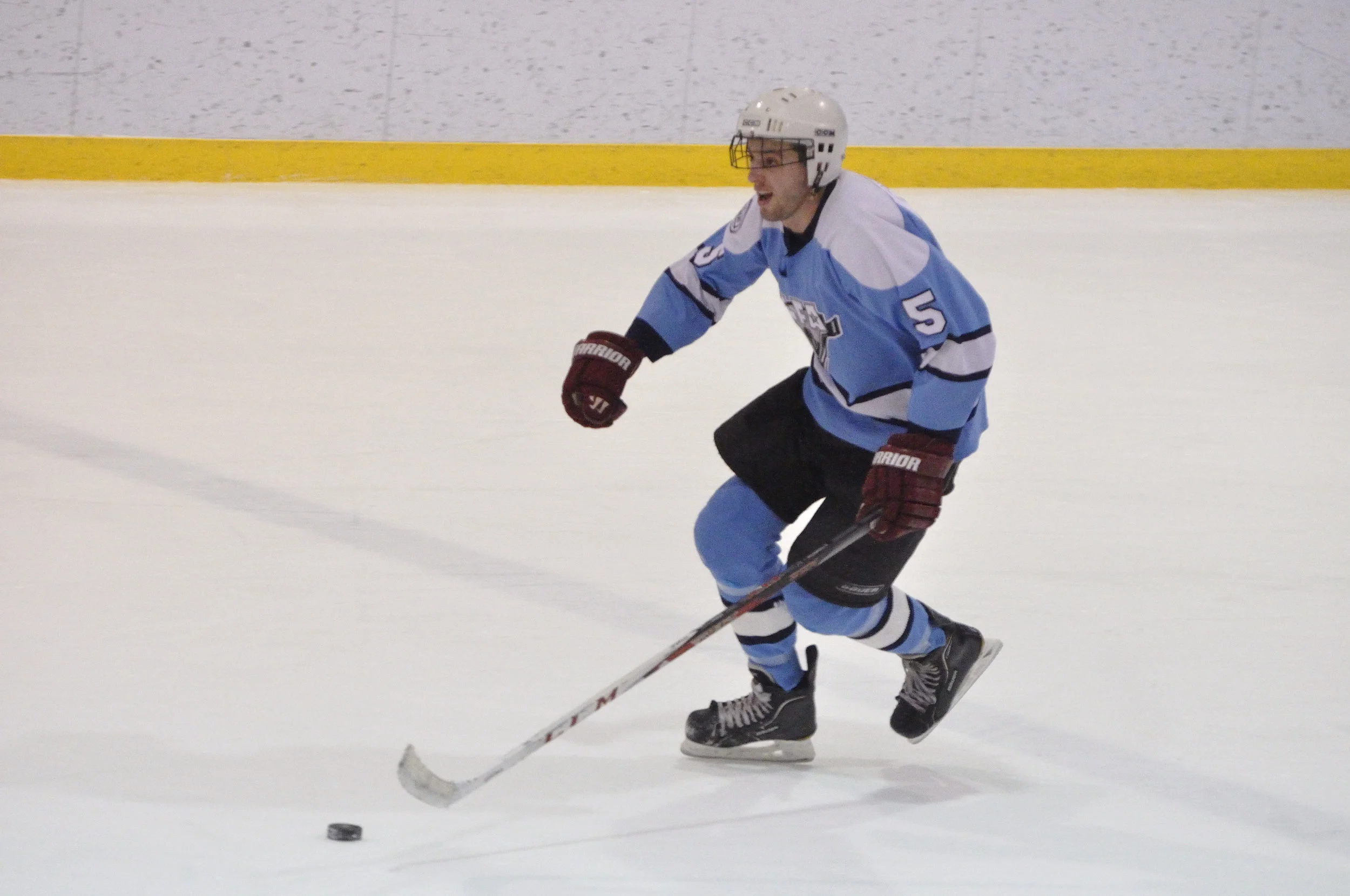 16 fevrier 2018 _DSC0174_Lisette Nepveu.JPG