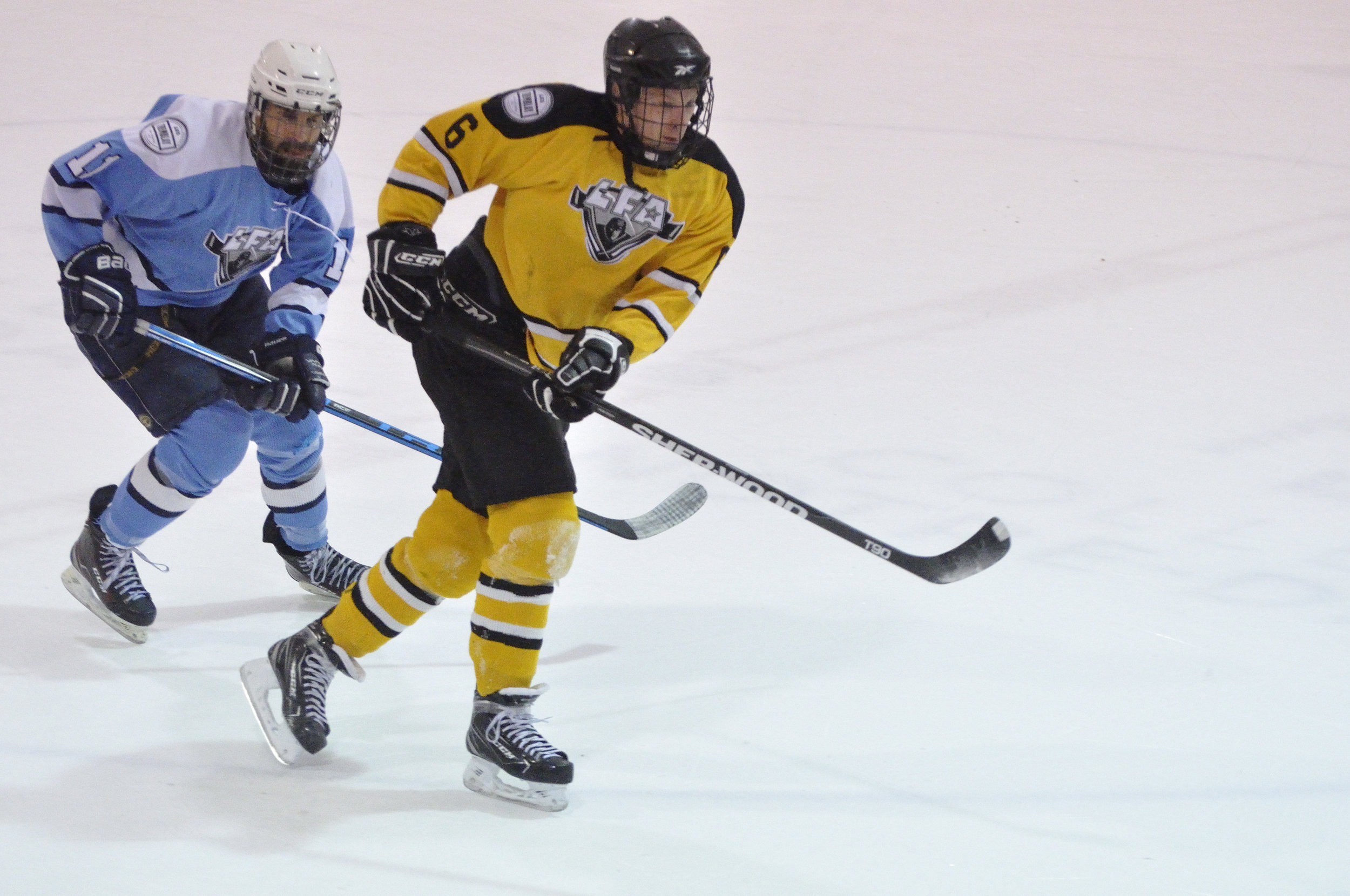 16 fevrier 2018 _DSC0225_Lisette Nepveu.JPG