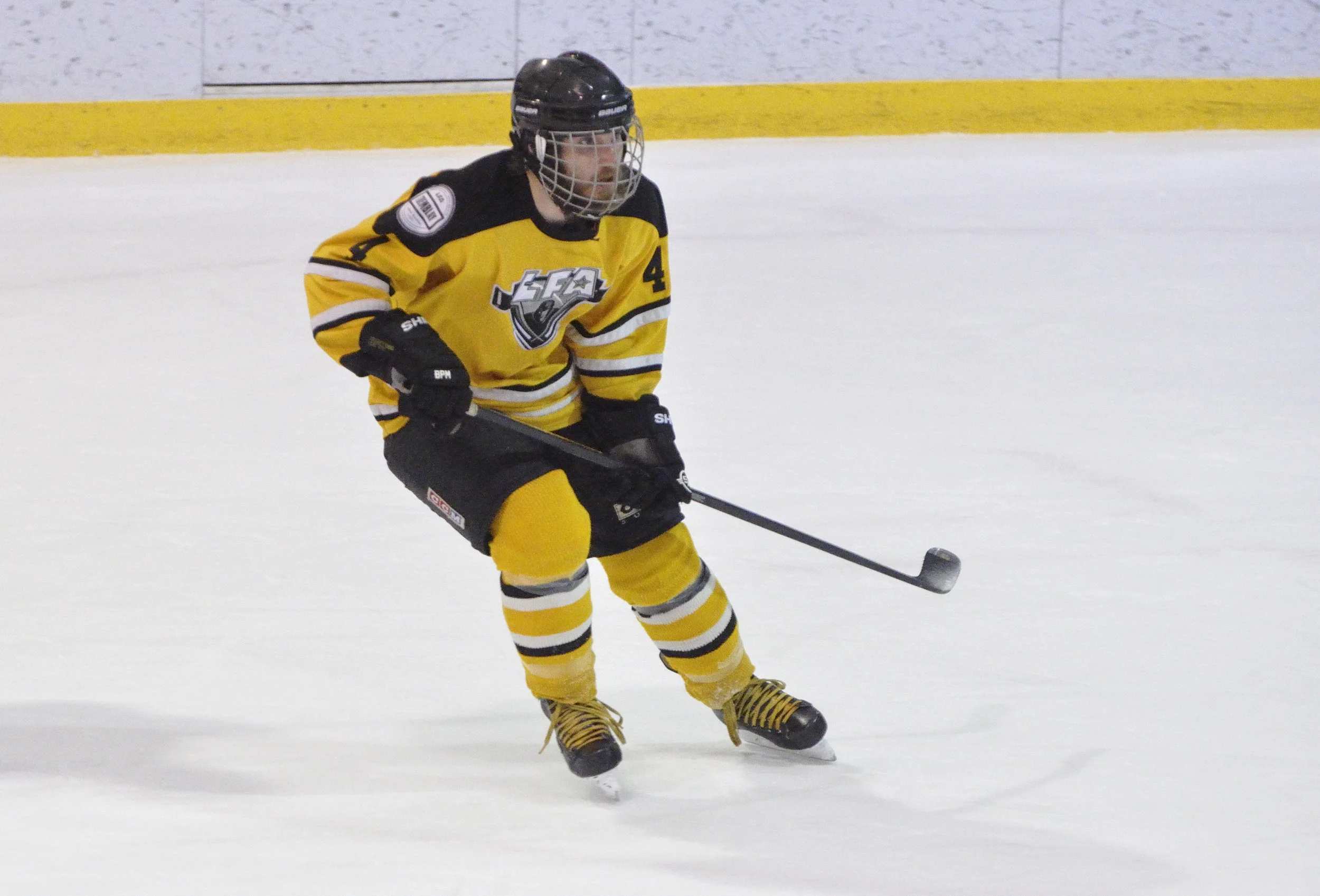 16 fevrier 2018 _DSC0235_Lisette Nepveu.JPG