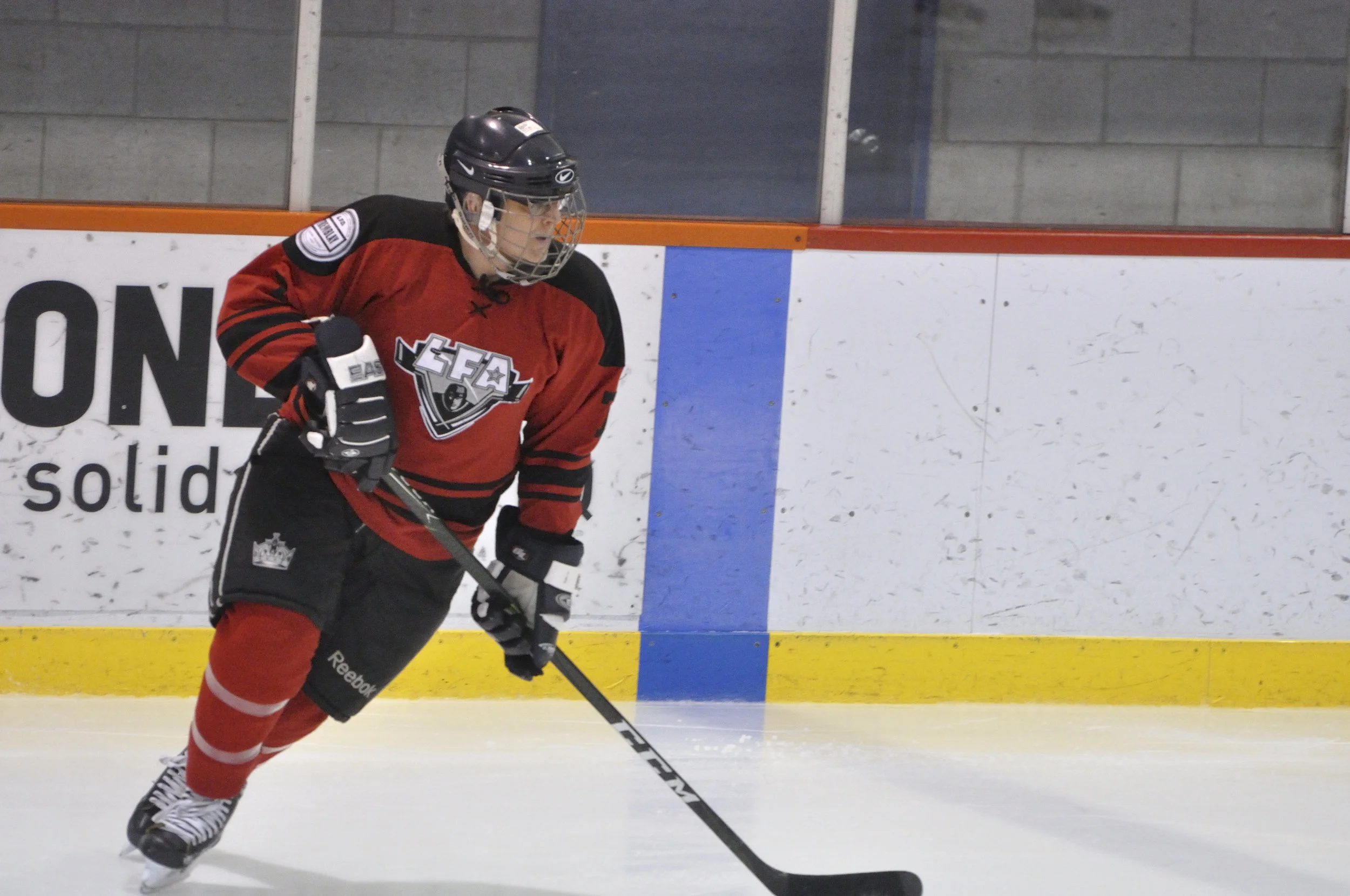 16 fevrier 2018 _DSC0311_Lisette Nepveu.JPG