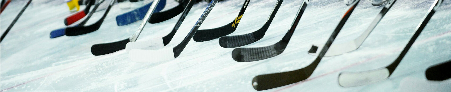 HEADER_08.jpg