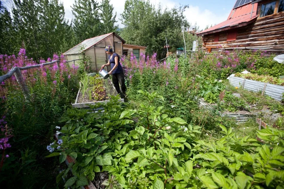 Garden10_2016_NathanielWilder.jpg