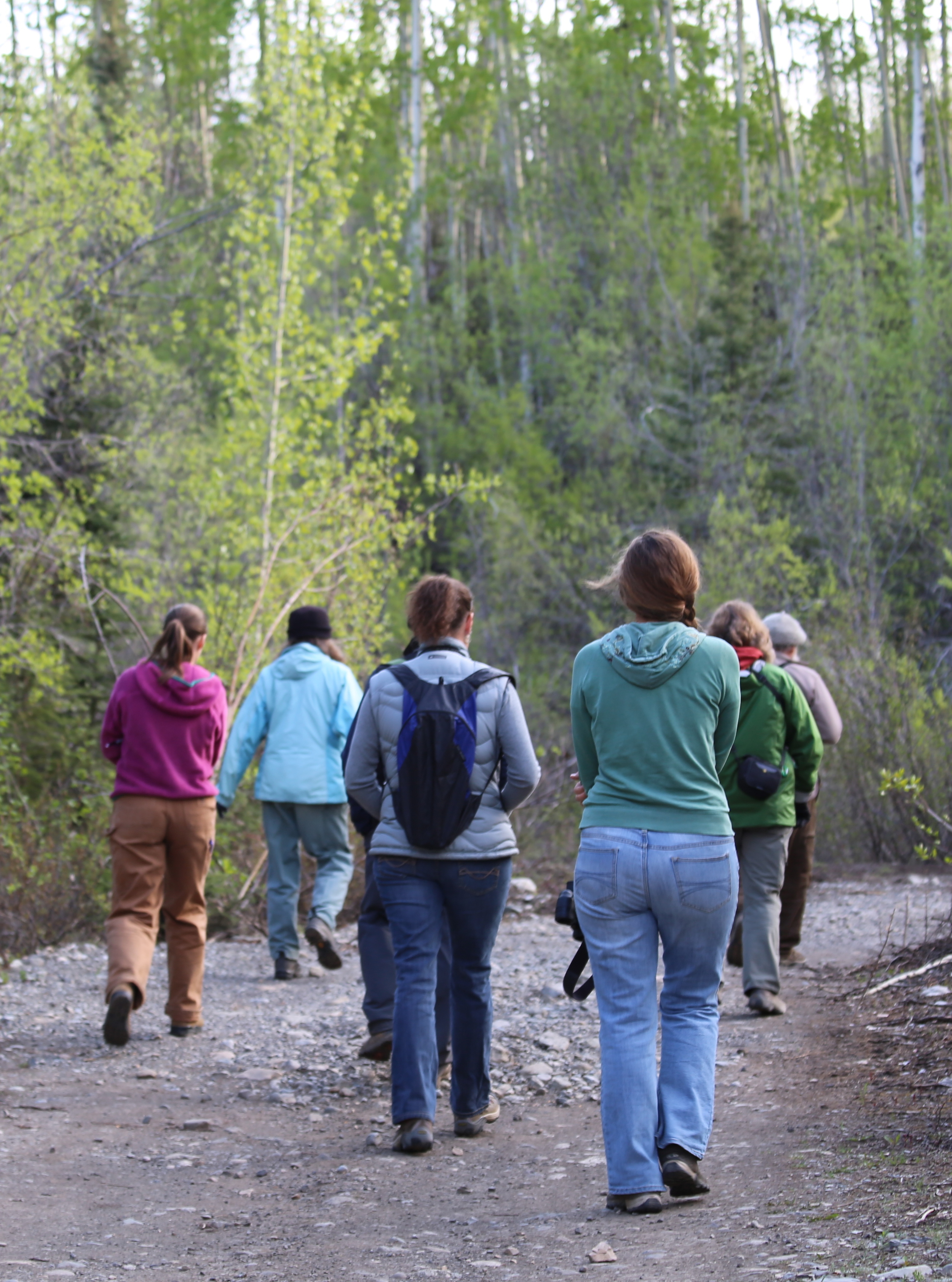 Birders headed down the trail. Photo by Leanne Phelps.