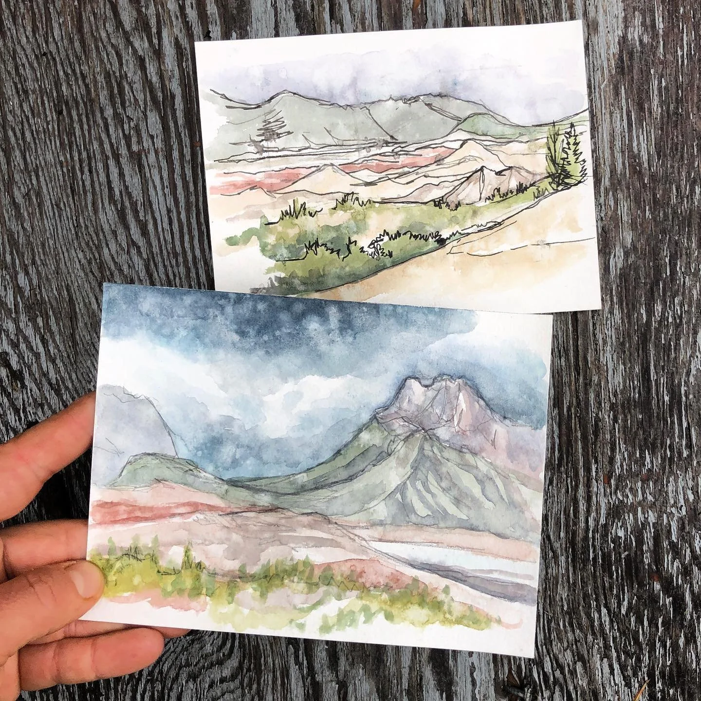 Community Field Sketching Group with Kristin Link