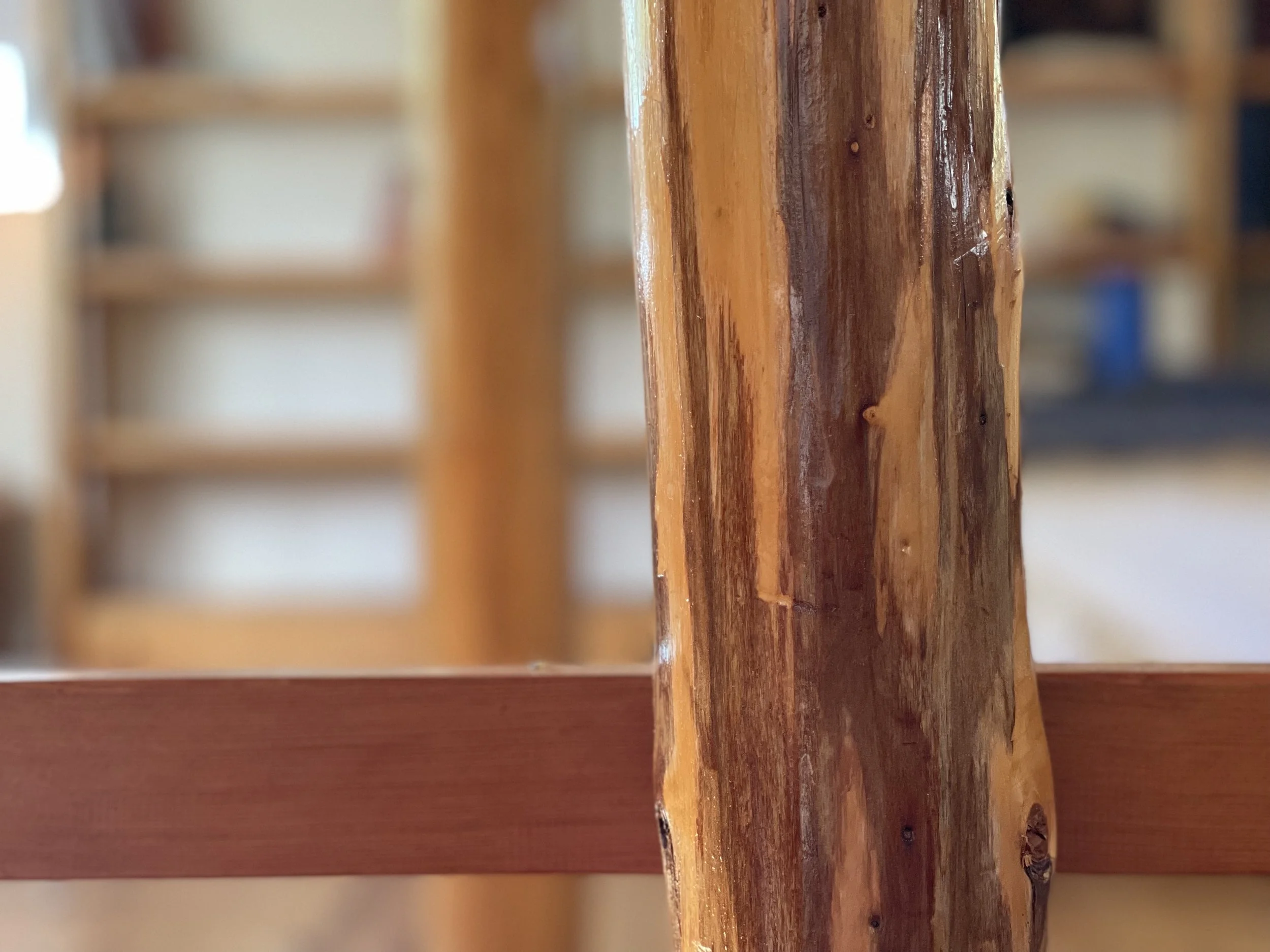 Guest Housing — Wrangell Mountains Center