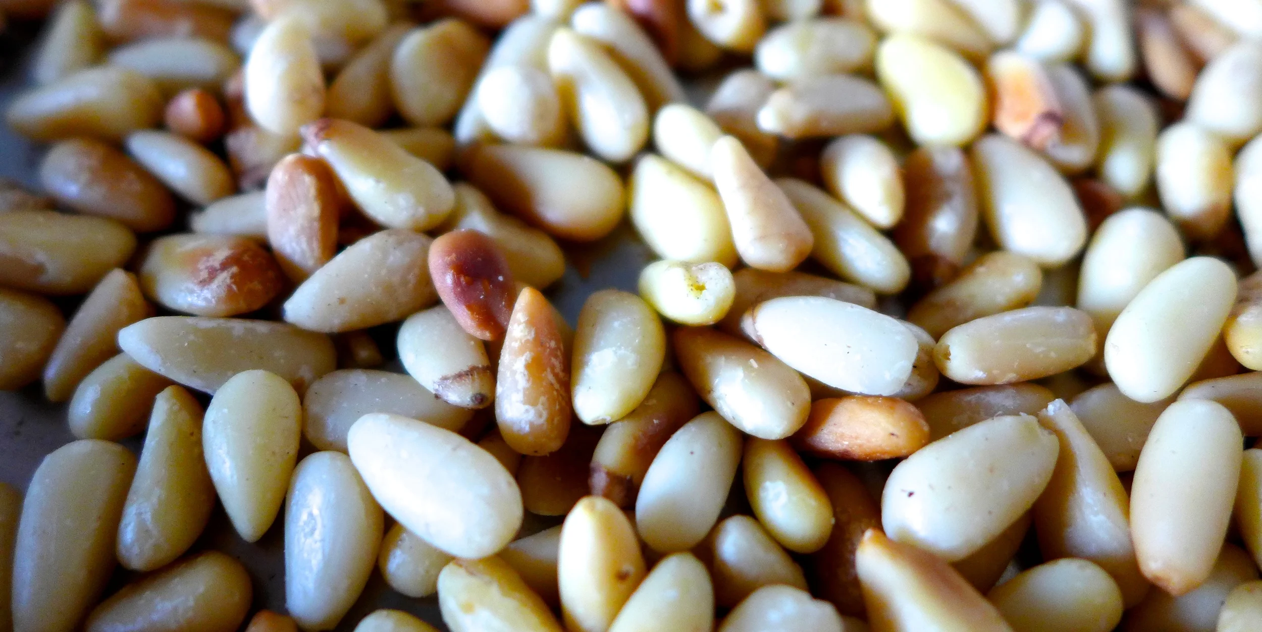 Geröstete Pinienkerne