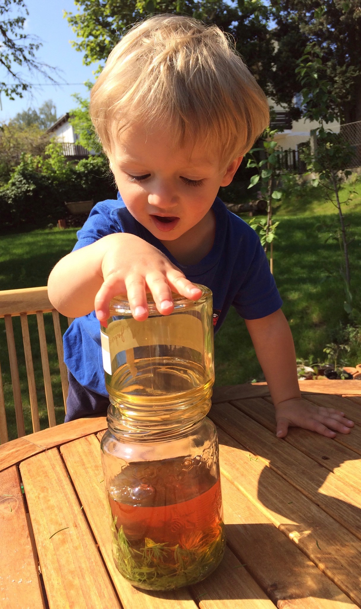 Die Qualität des Honigs spielt eine wichtige Rolle. Es loht sich daher einen Imker aus Leidenschaft aufzusuchen der seine Bienen schätzt und nicht ausbeutet. Wenn du dein Glas halbvoll mit Wipferl gefüllt hast, dann gib soviel Honig dazu bis es voll ist.
