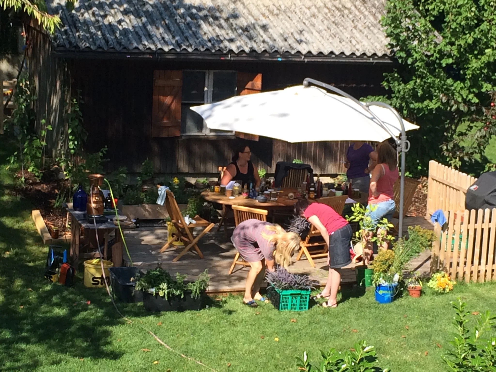 Vier Jahreszeiten Kurs Sommer 2016