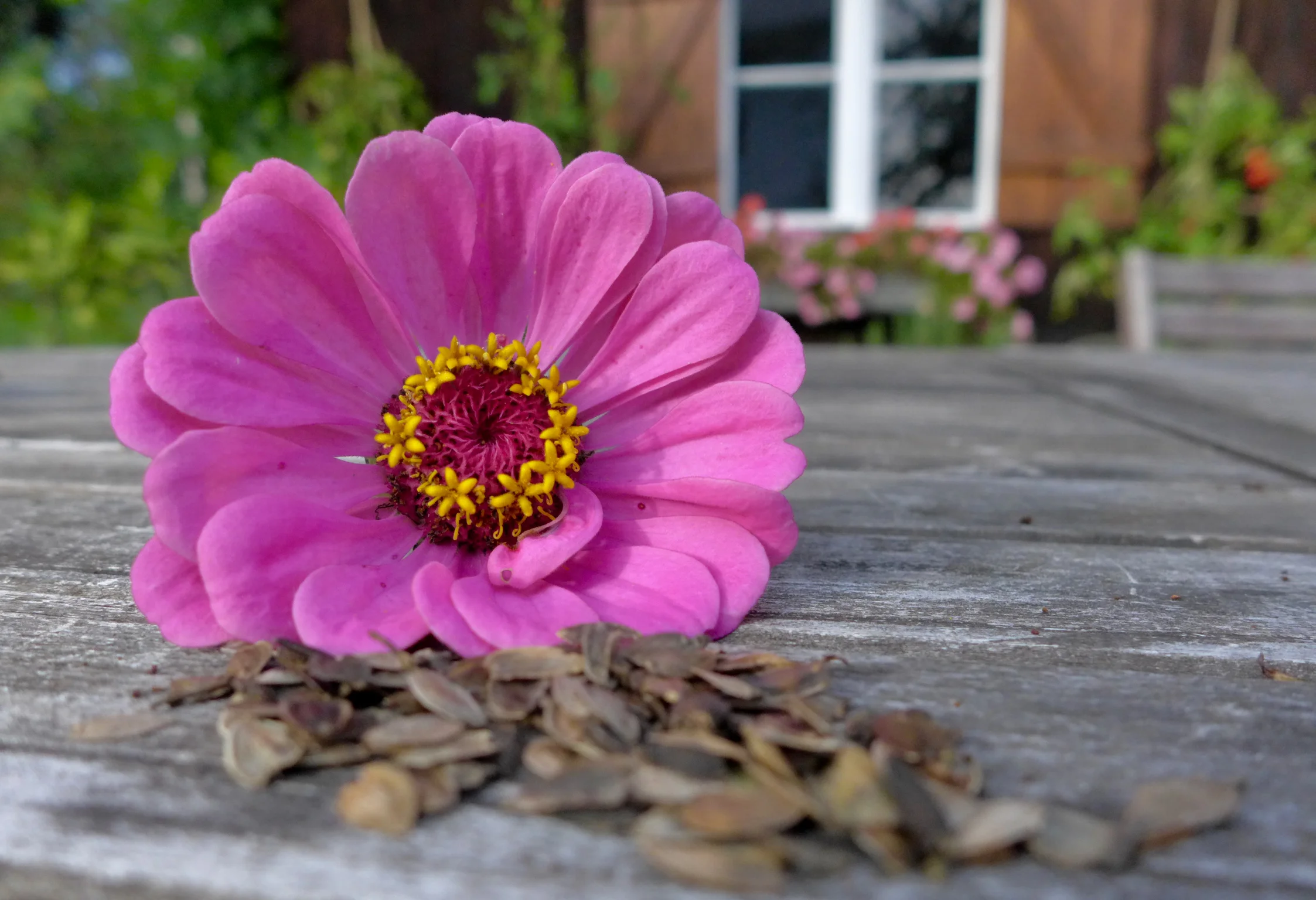 L1060045.jpg