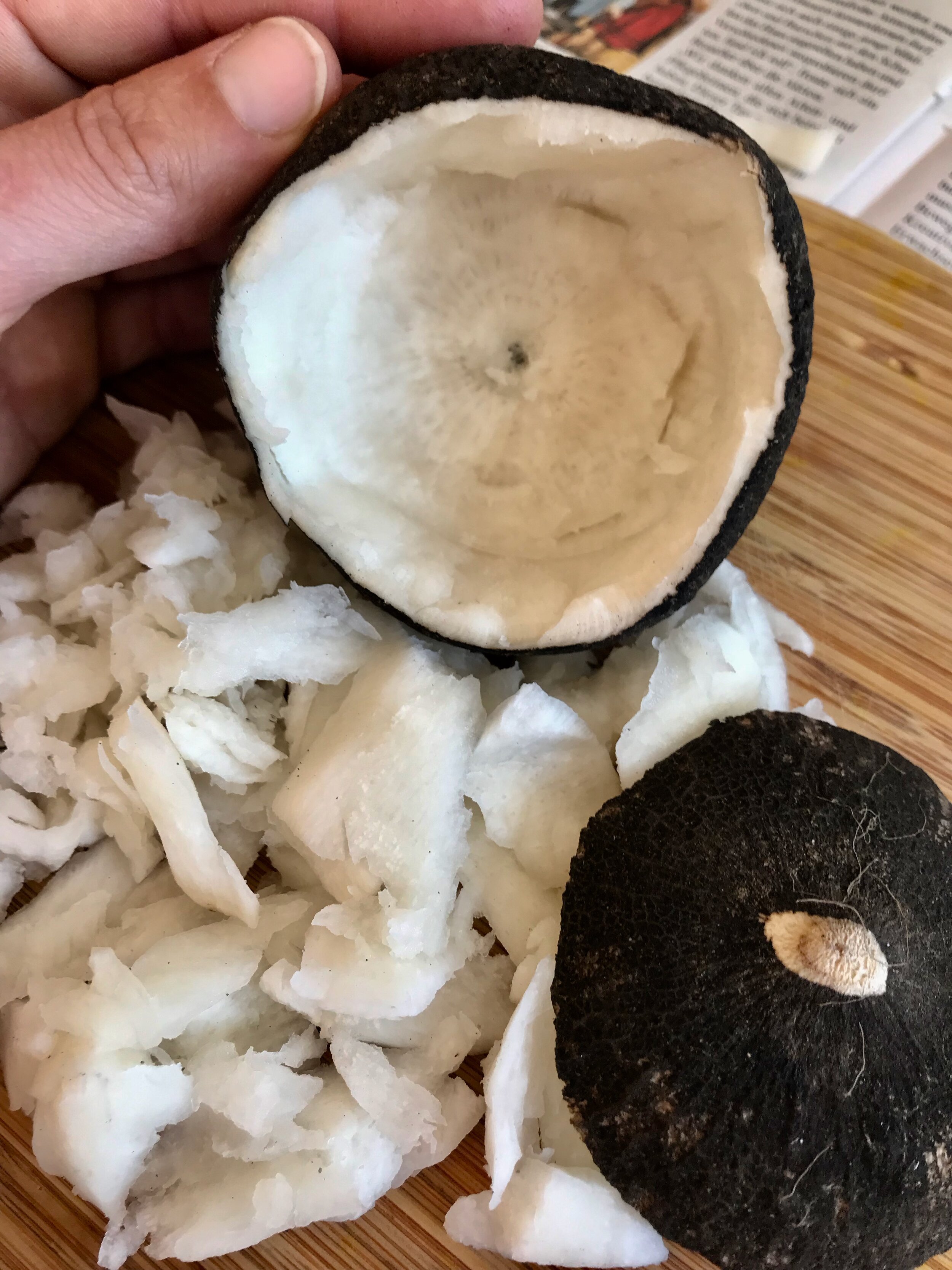 Schwarzer Rettich Hustensaft — Gesund mit Natur