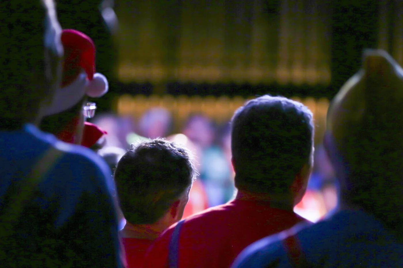 2014 Xmas Show 5783.jpg