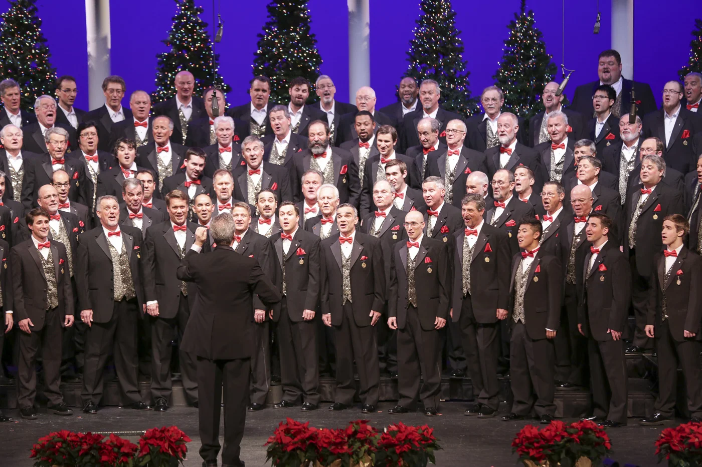 2014 Xmas Show 5847.jpg