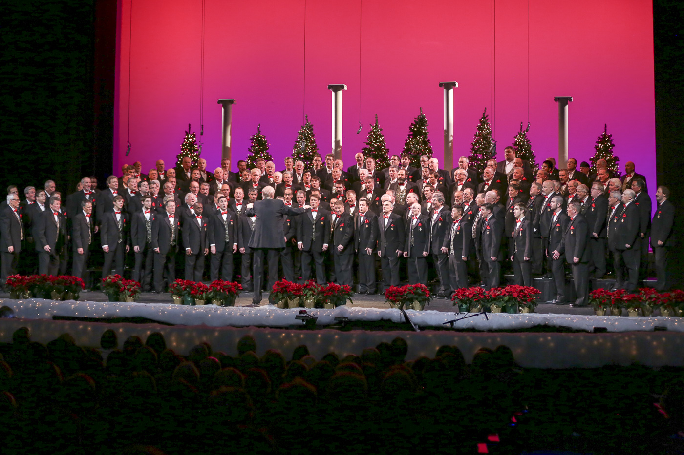 2014 Xmas Show 5858.jpg