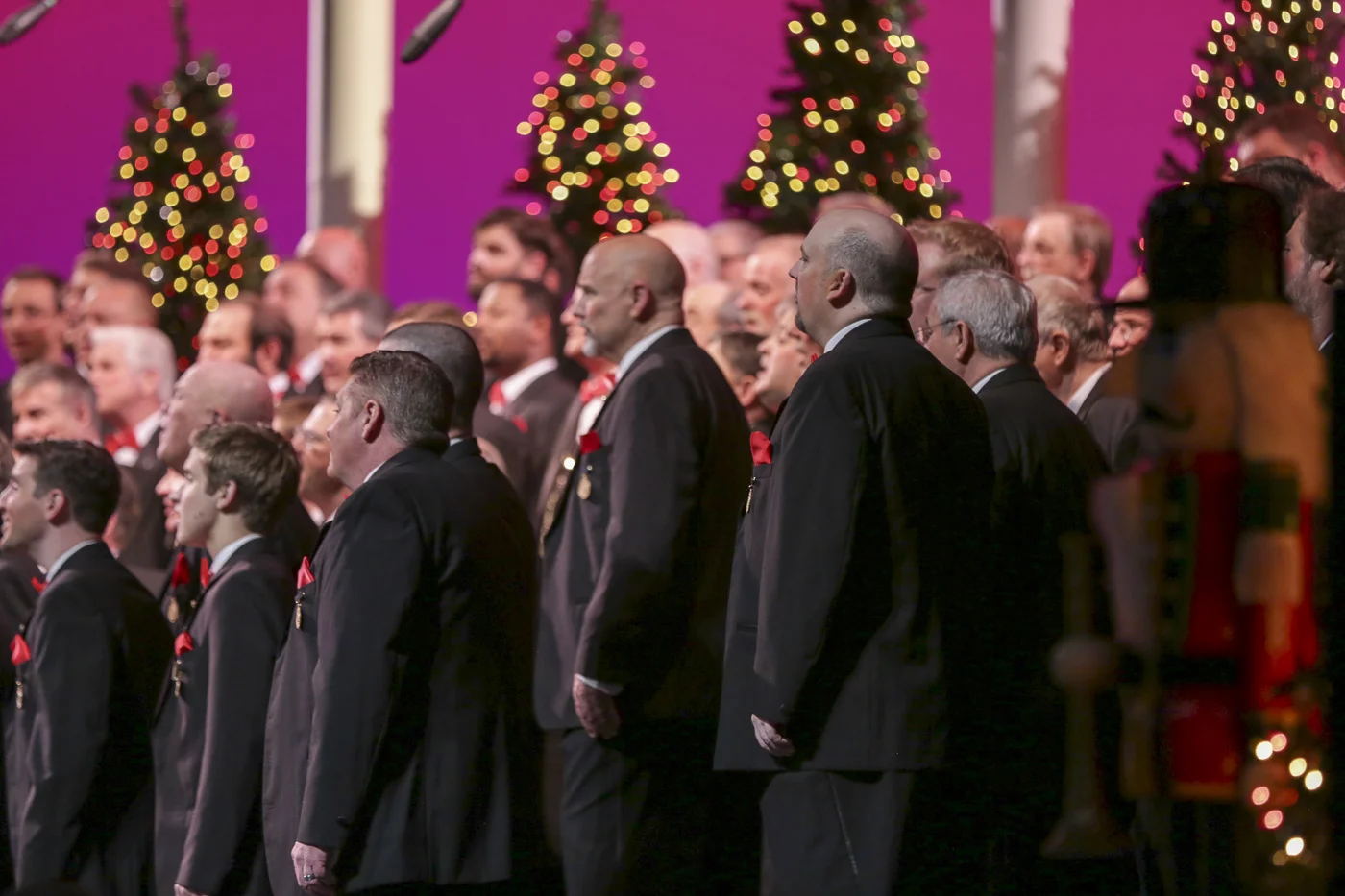 2014 Xmas Show 5862.jpg