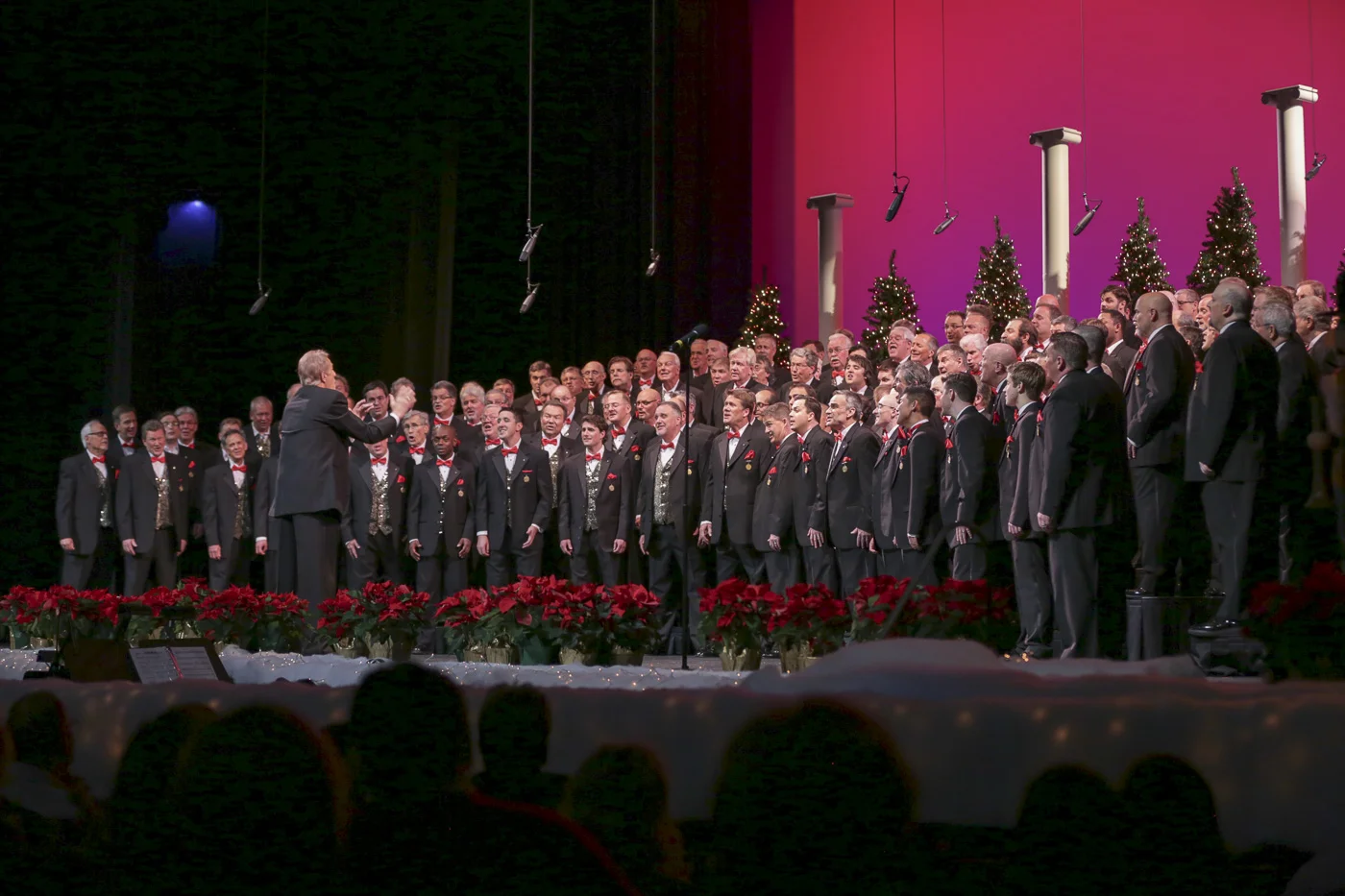 2014 Xmas Show 5864.jpg