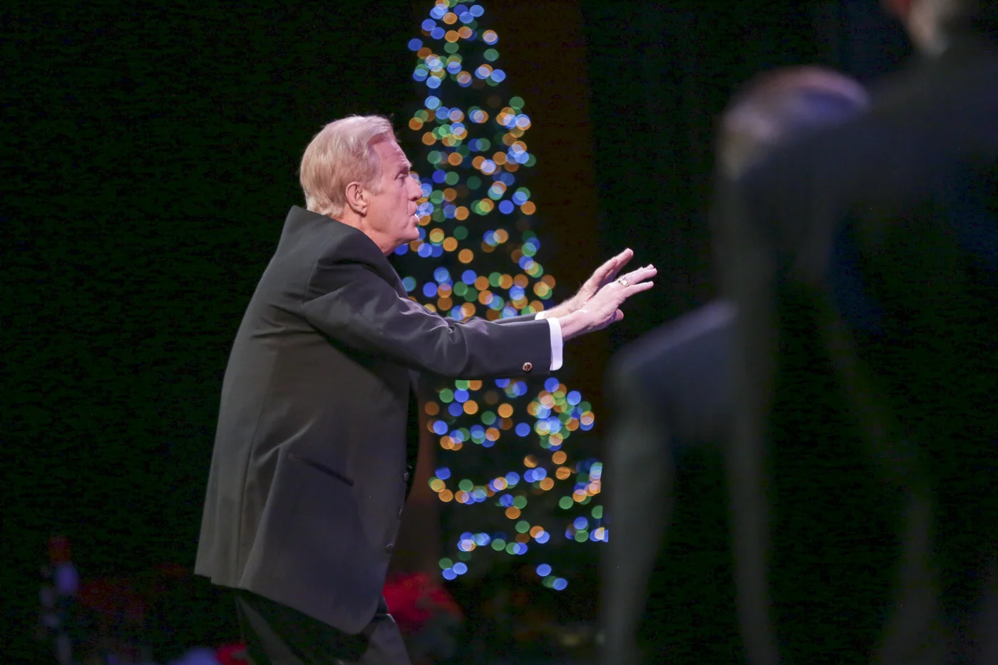 2014 Xmas Show 5898.jpg