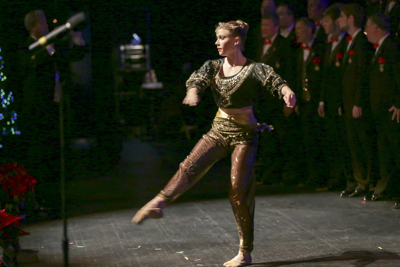2014 Xmas Show 5885.jpg