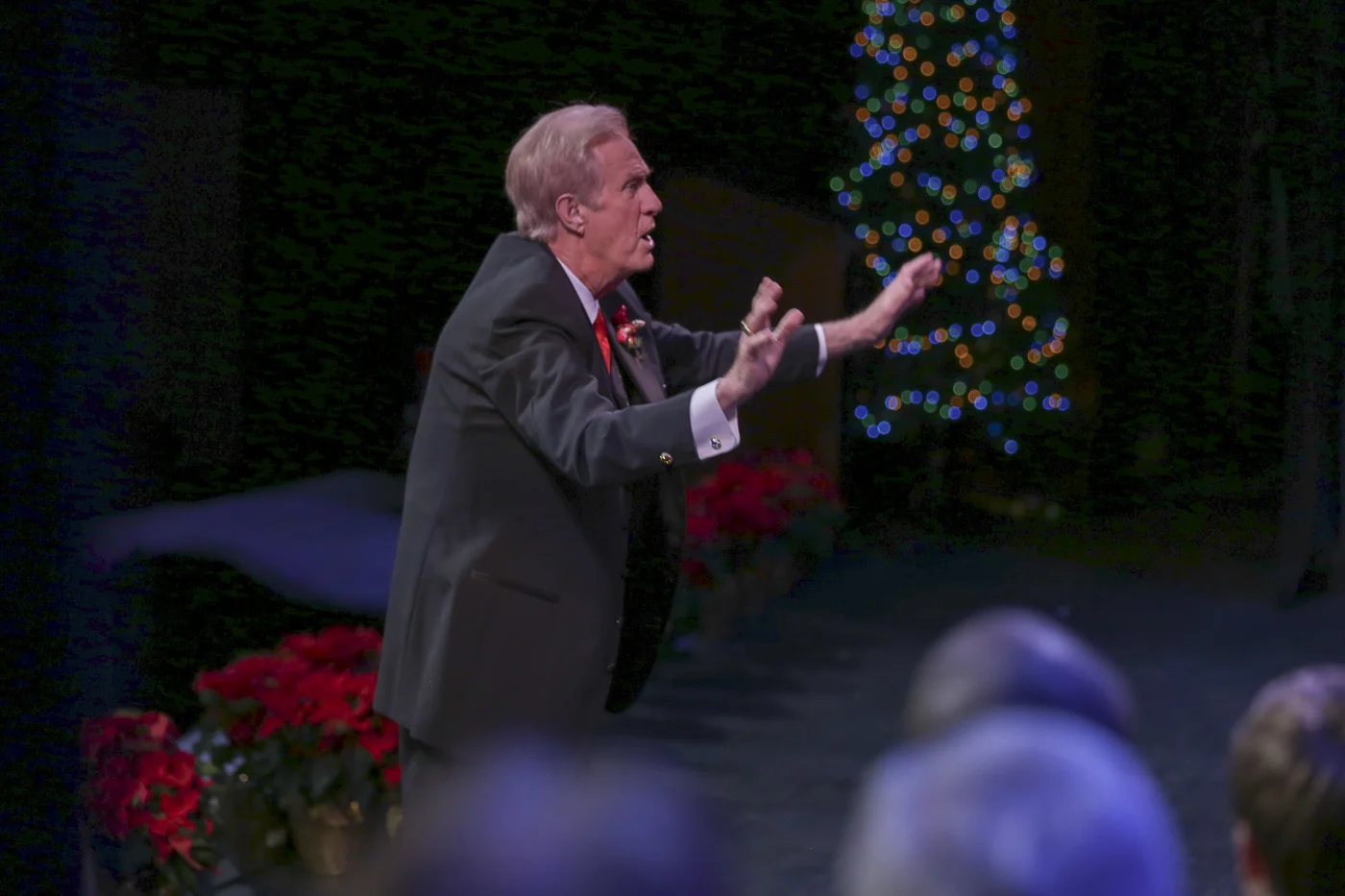 2014 Xmas Show 5906.jpg