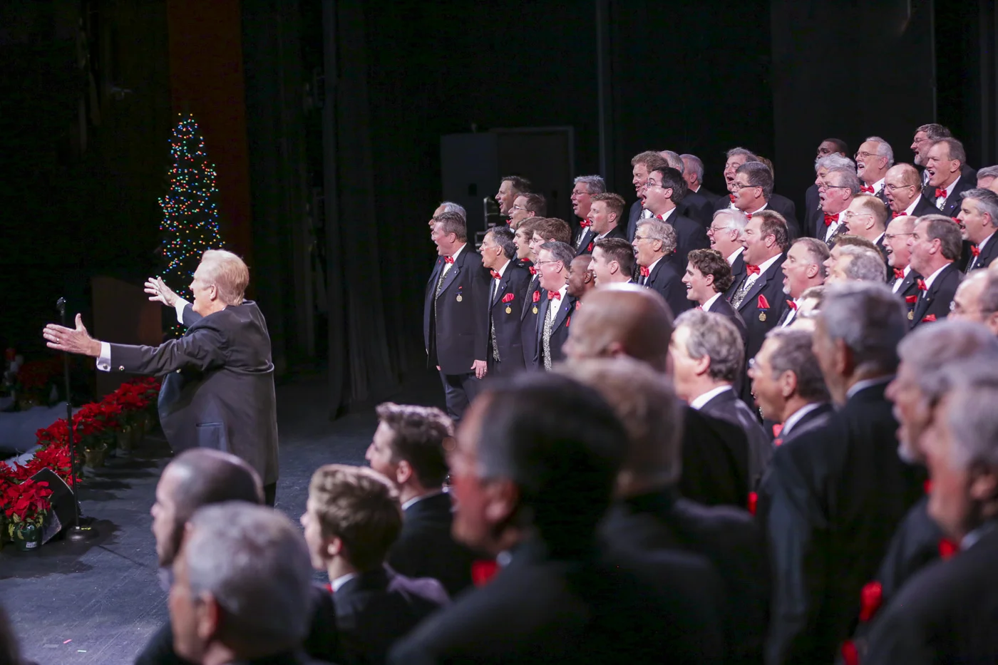 2014 Xmas Show 5934.jpg