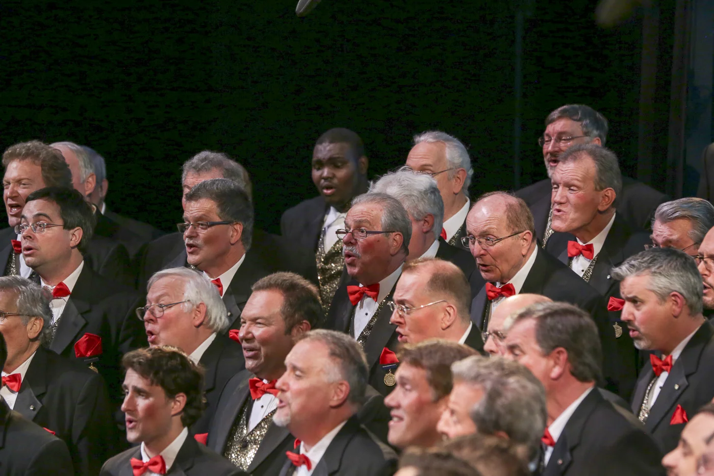 2014 Xmas Show 5926.jpg