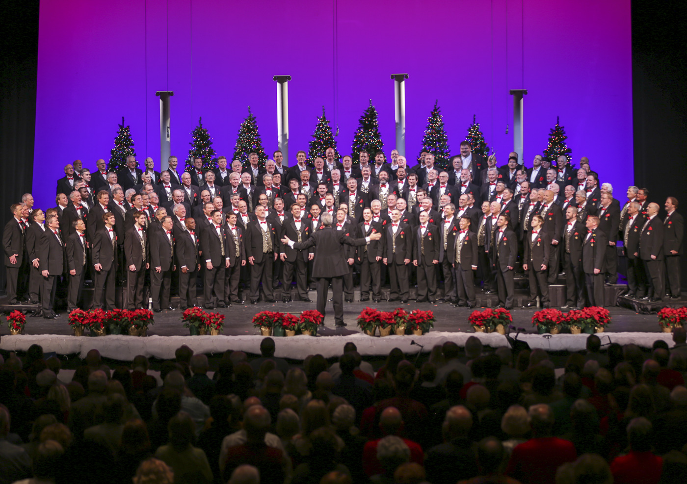 2014 Xmas Show 5965.jpg