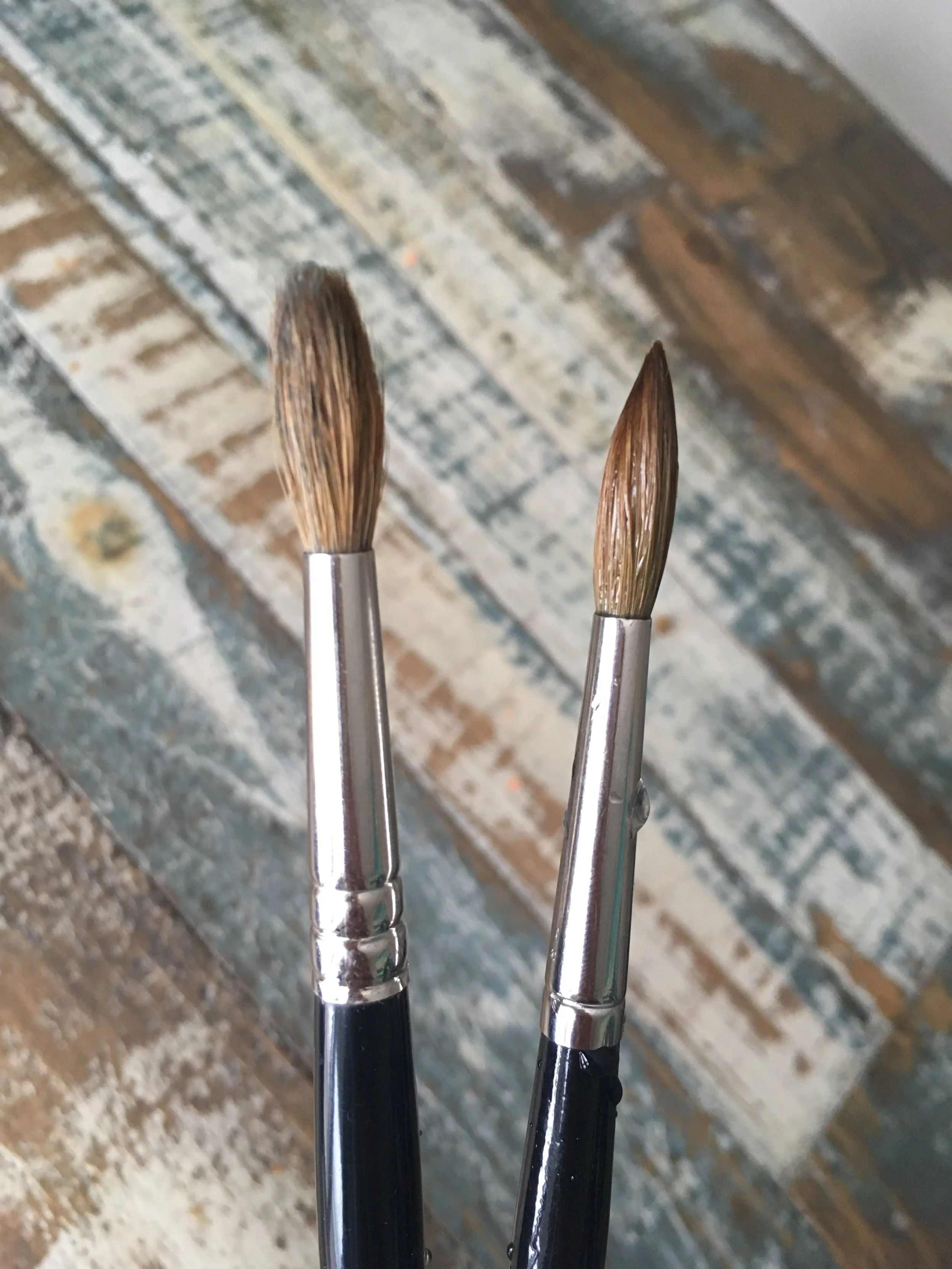  Dry Kolinsky Sable (left) Wet Kolinsky Sable (right)
