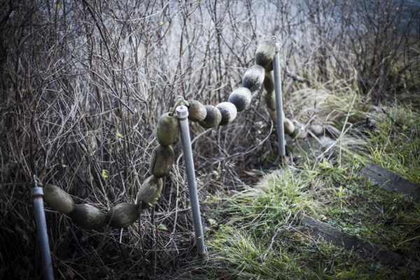 © Rika Manabe Photography