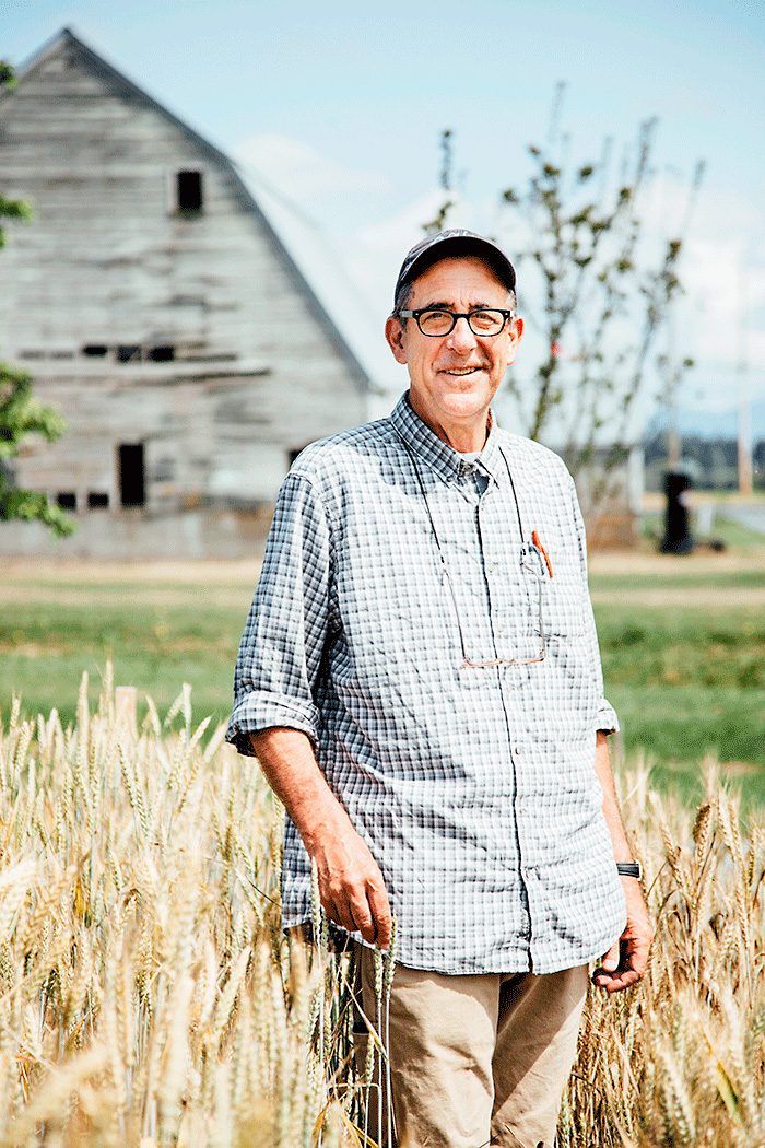 Dr. Stephen Jones, Bread Lab director and wheat breeder.