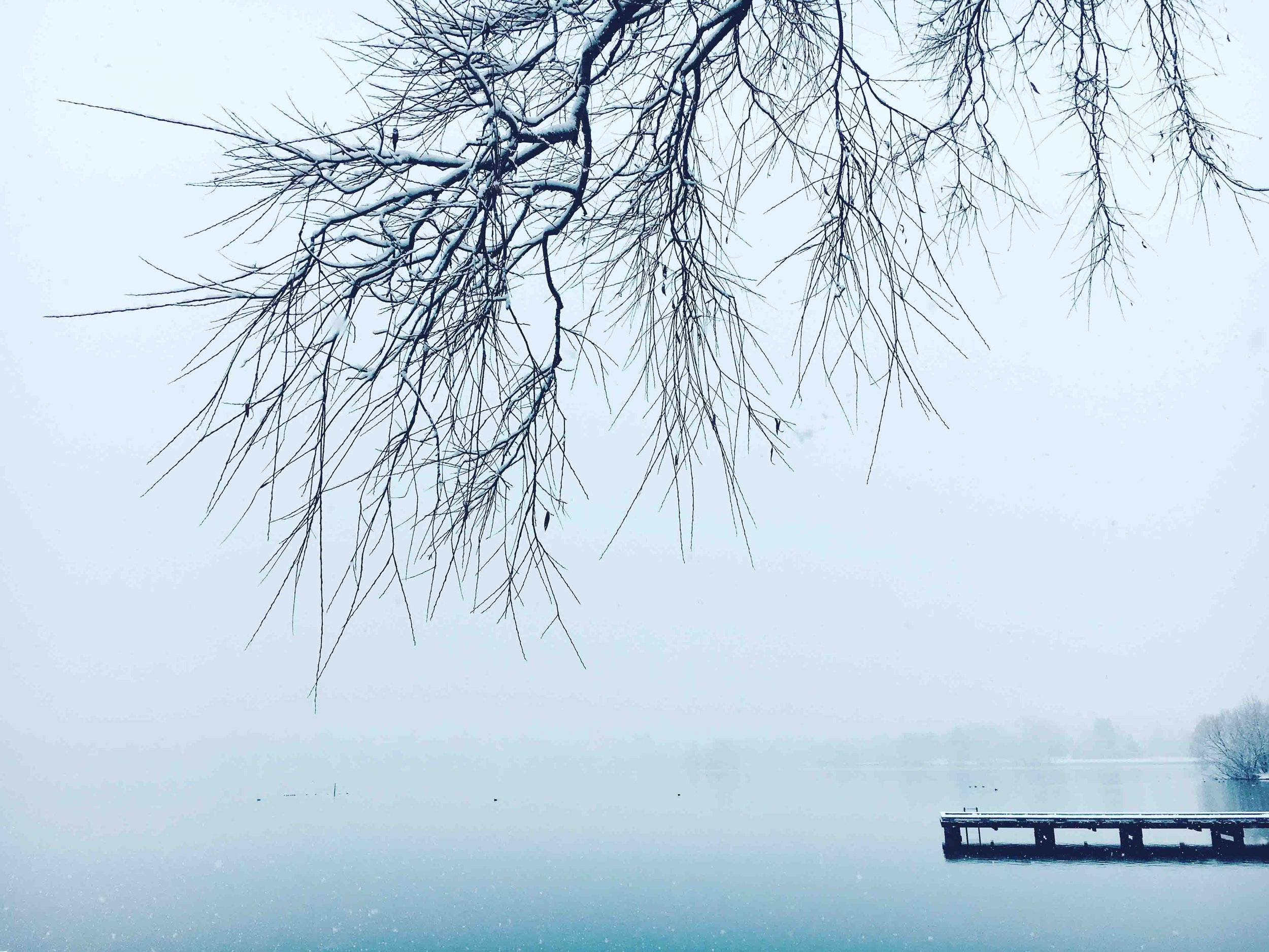 RikaManabe-Portfolio-FineArtPrint-snowylake.jpg