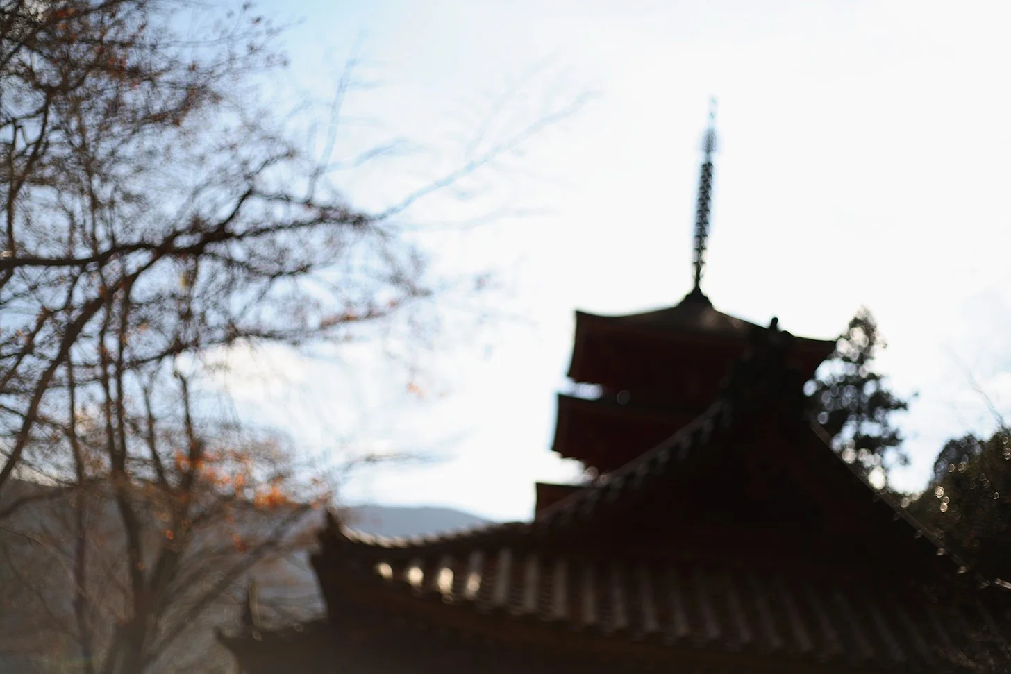 Overview_05_RIkaManabe_Travel_Japan_05.jpg
