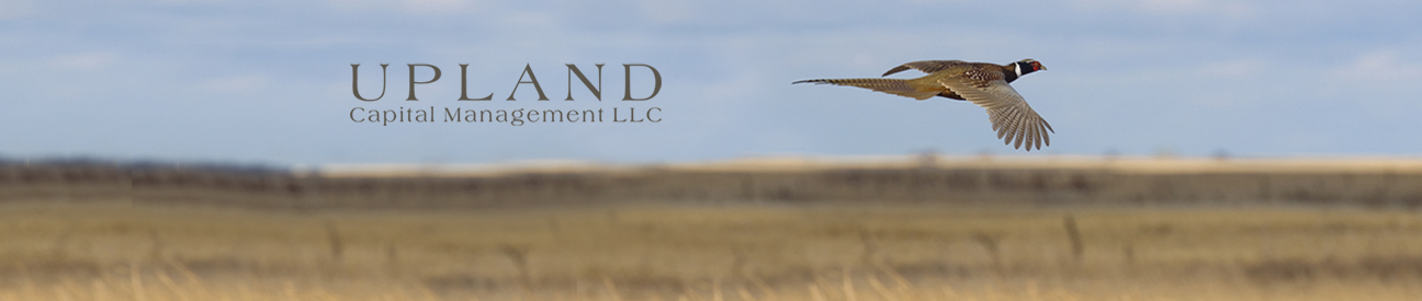 Upland-b-1b.jpg
