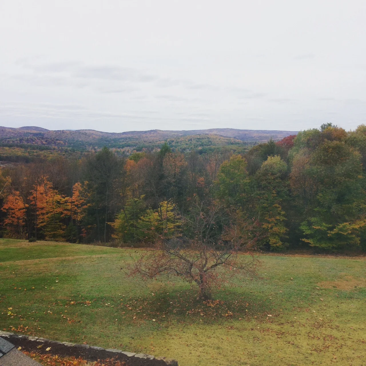 View out the guest room window in New Hampshire