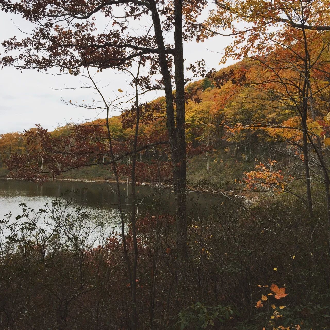 Fall in New Hampshire is lovely! 