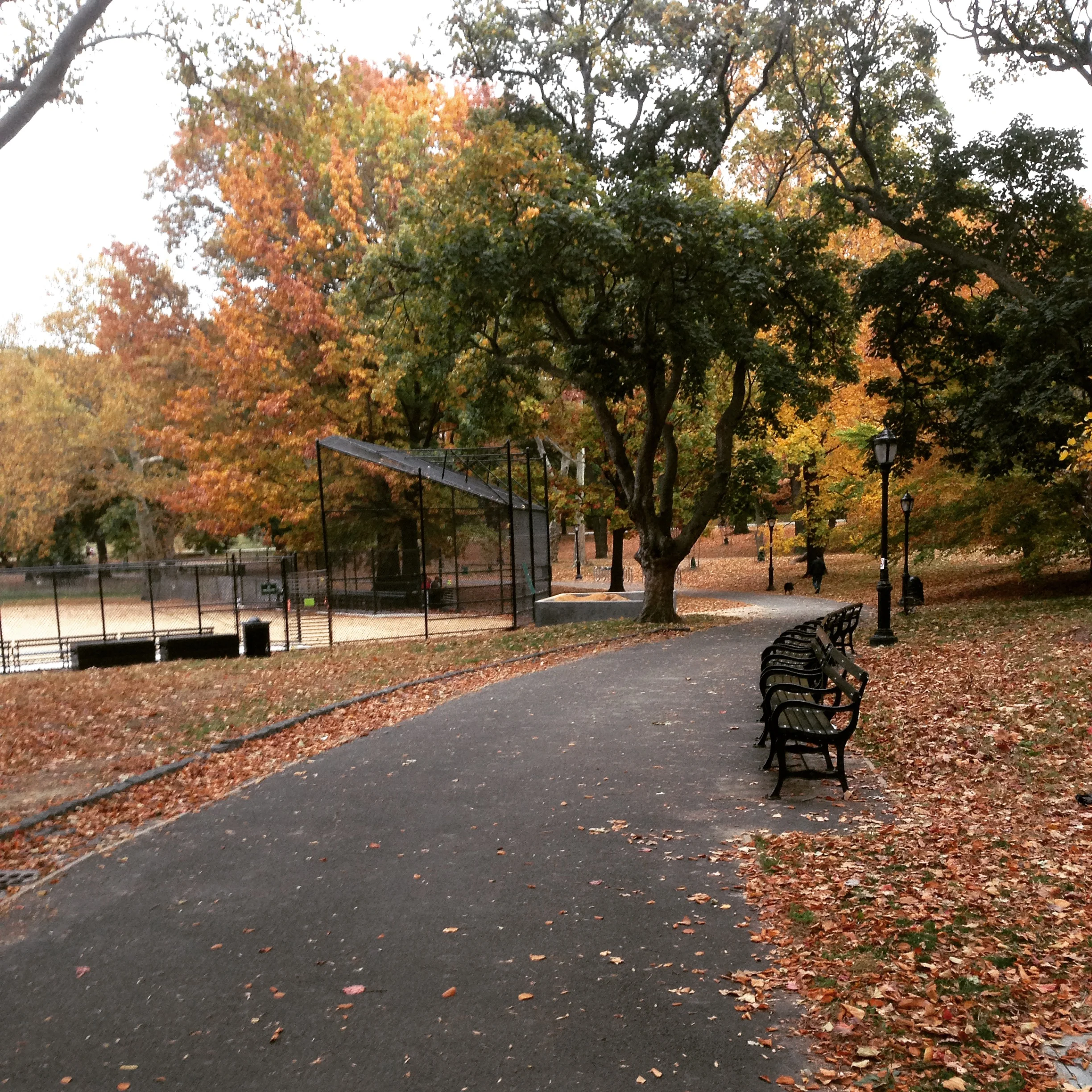 Prospect Park