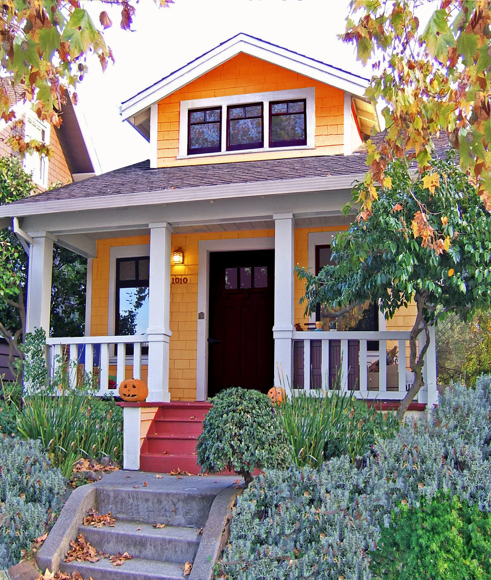 Tiny House by House Kaboodle