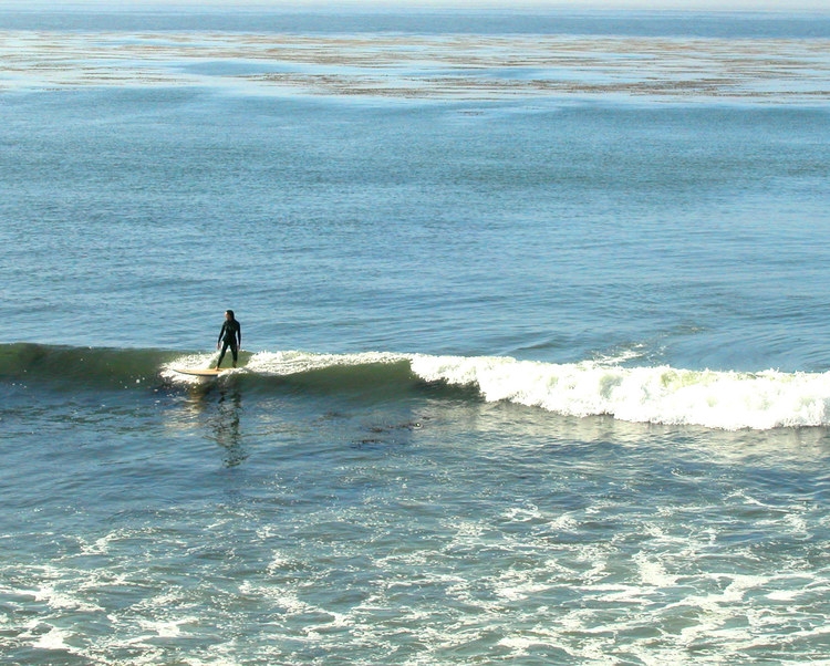 Allison's lifelong passion for surfing led her to explore the world of paddleboarding in 2010