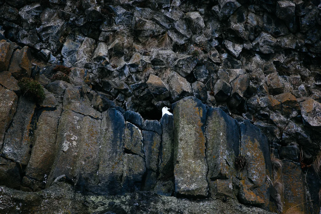 Iceland-8040.jpg