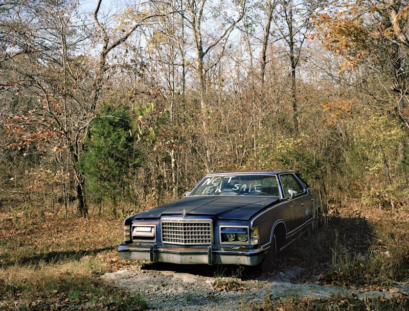 Not For Sale Archival pigment print, 2011