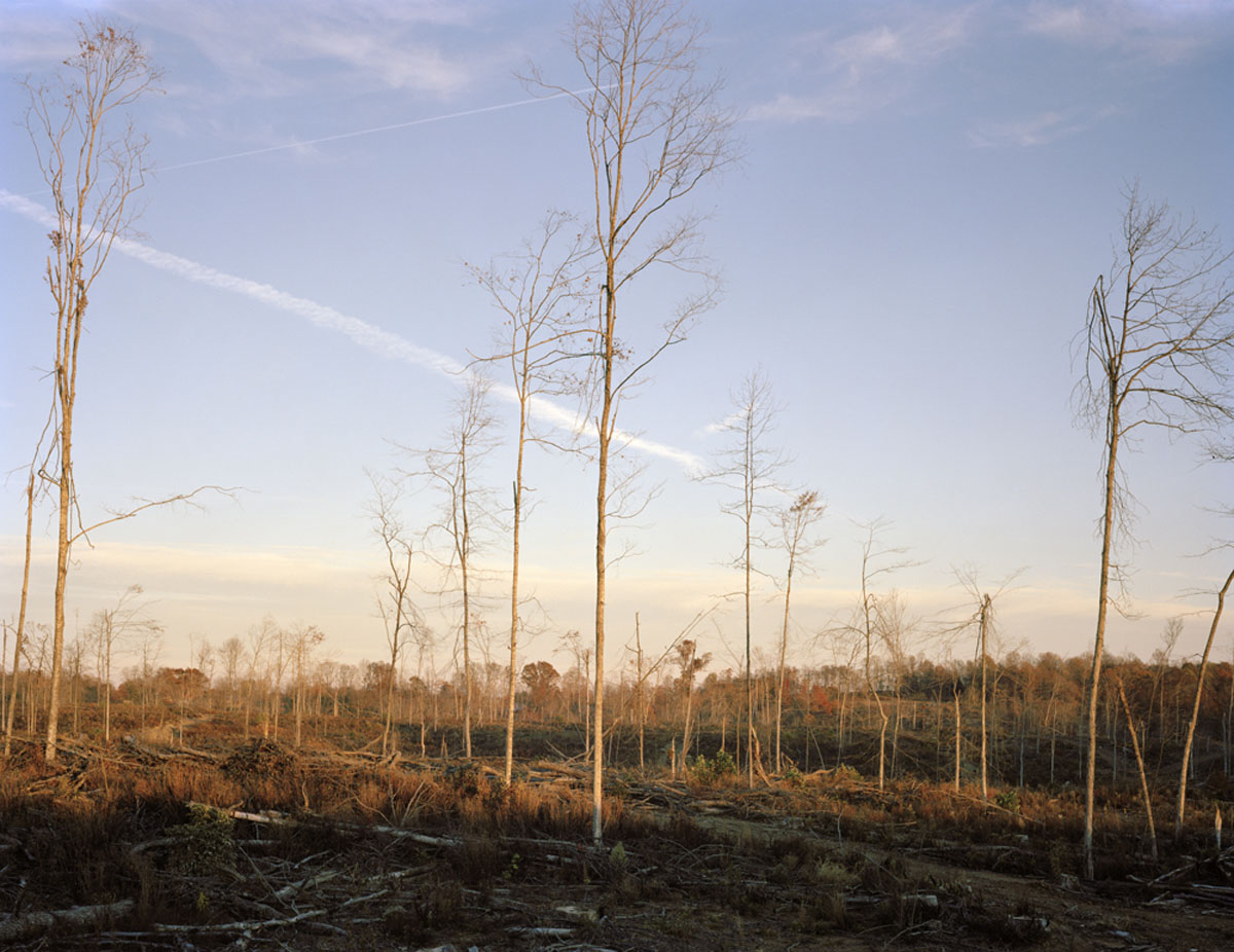 Civil War encampment site. Difficult, Tennessee   archival pigment print