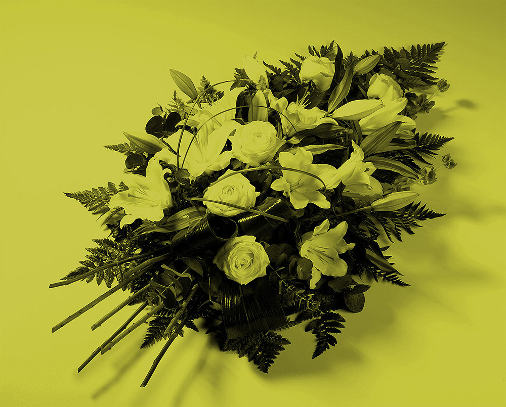 For the Matador (Fern, Rose, Lily), 2011; Digital C-print; 19.5 x 24"