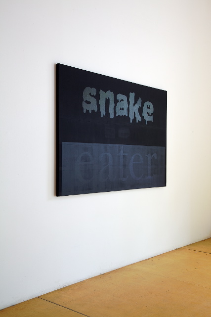 Snake Eater, 2011, acrylic paint on canvas 48” X 72”