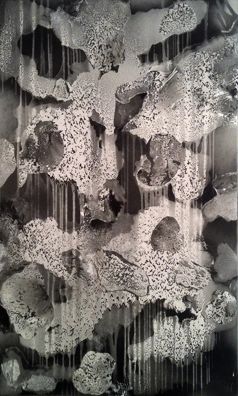 Actual Proof, 2013 Mixed media on canvas 50 x 30 in.
