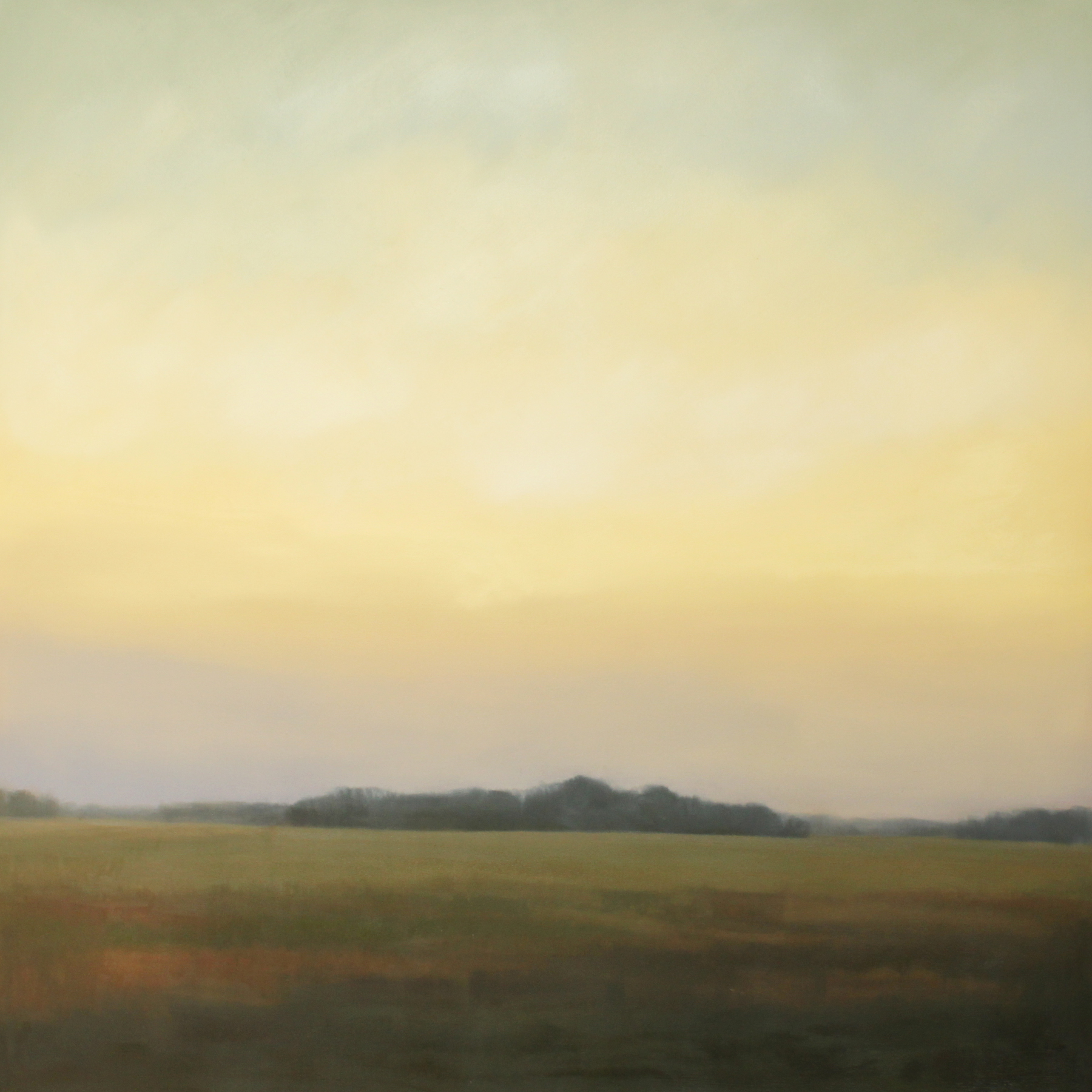 Cornelia Fort Evening, oil on canvas over panel, 48 x 48 x 2.5 in